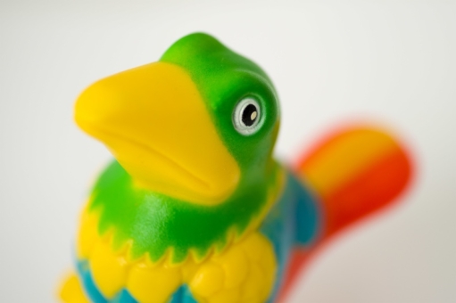 Liix FUNNY HORN PARADISE BIRD Hupe  2