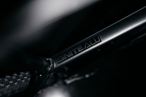 Ridley IGNITE A NX Eagle / Black Collection L | Black Collection 2