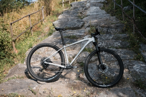 Ridley IGNITE A SX Eagle / Polar Silver Metallic L | Polar Silver Metallic 2
