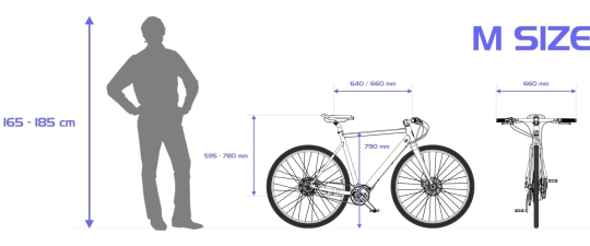 Desiknio DOPAMINE X20 PINION C1.9XR CLASSIC / Dark Grey M / Dark Grey/ Carbon Fork 2