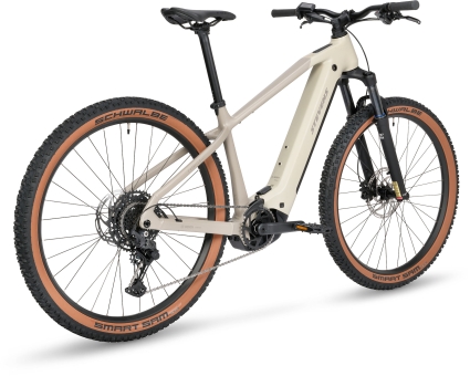 Stevens 2026 E-AGNELLO 6.6.1 / Desert Dust 14