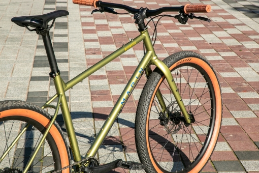 Marin Muirwoods XL | Gold 3