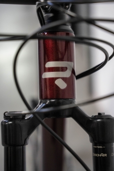 Ridley RAFT XC X01 Eagle / Bourgogne Red Metallic L | Bourgogne Red Metallic 5